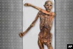 Çalışma Ötzi'nin koyu ten rengine, koyu renk gözlere ve açık alın bölgesine sahip olduğunu ortaya çıkardı.